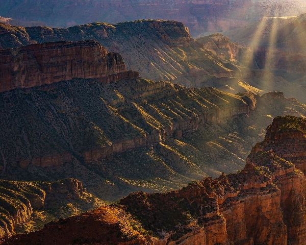 Arizona-Grand Canyon National Park North Rim of Grand Canyon at sunrise